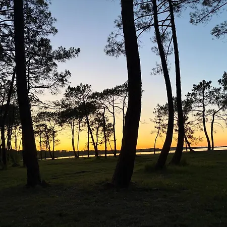 Serenite Lägenhet Biscarrosse
